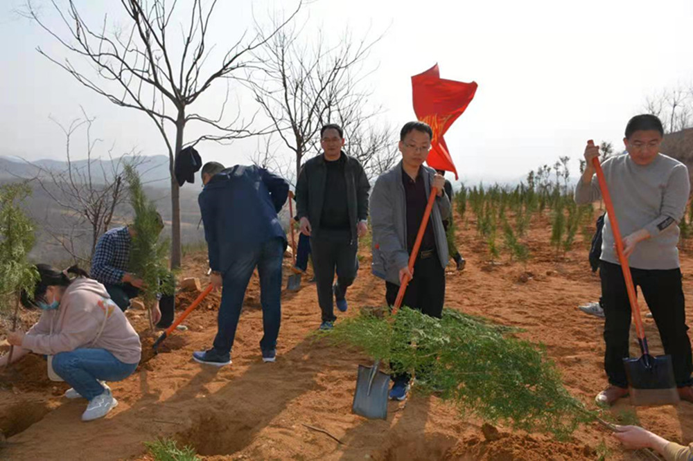 文博中心项目部临时党支部开展义务植树主题党日活动